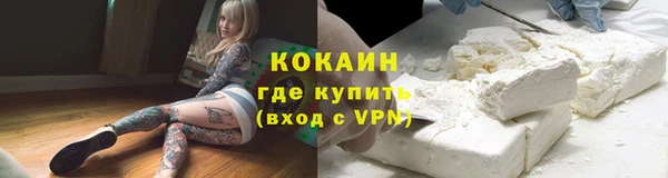 стаф Балахна