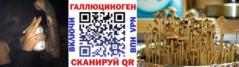 Галлюциногенные грибы Cubensis  Вятские Поляны 